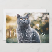 Meowy Christmas Elegant Kalligrafie Kattenfoto Feestdagenkaart (Voorkant)