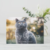 Meowy Christmas Elegant Kalligrafie Kattenfoto Feestdagenkaart (Staand voorkant)