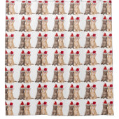 Meowy Christmas Kitten Douchegordijn (Voorkant)