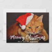 Meowy Christmas Pet Photo Cat met rode kerstmuts Feestdagenkaart (Voorkant)
