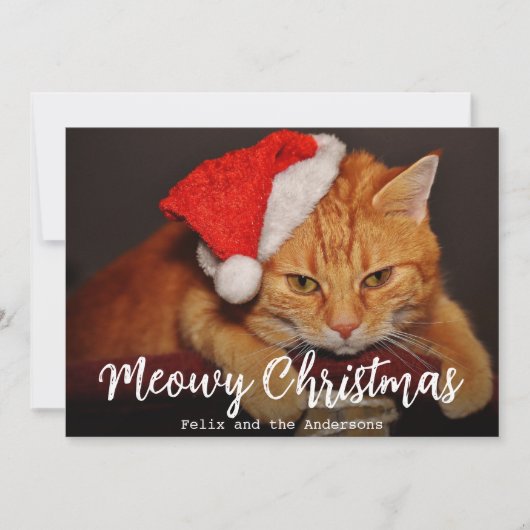 Meowy Christmas Pet Photo Cat met rode kerstmuts Feestdagenkaart (Voorkant)