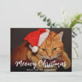 Meowy Christmas Pet Photo Cat met rode kerstmuts Feestdagenkaart (Staand voorkant)