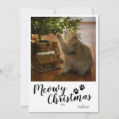 Meowy Christmas Script Custom Cat Kaart (Voorkant)