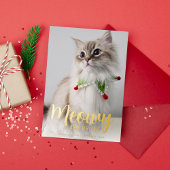 Meowy en helder in goud folie feestdagenkaart