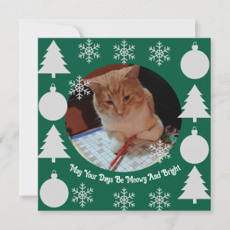 Meowy en helder, kattenfoto, Kerstmis Feestdagenkaart