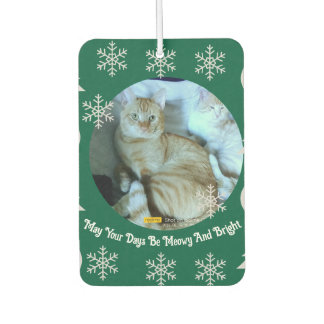 Meowy en helder, oranje kattenfoto, Kerstmis Luchtverfrisser