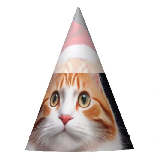 Meowy Feesthoedjes (Voorkant)