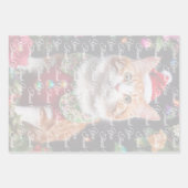 Meowy Inpakpapier Vel (Voorkant 2)
