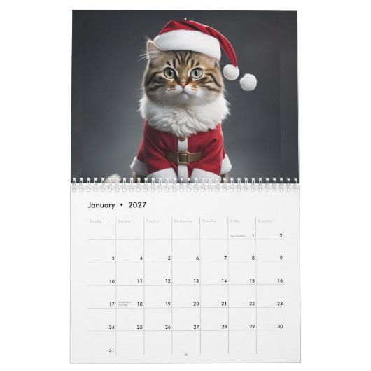 Meowy Kalender (Jan 2027)