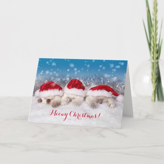 Meowy Kerst Slapen Kittens Kaart (Voorkant)