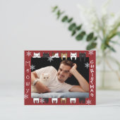 Meowy kerstcadeautje Fotofeestdag Briefkaart (Staand voorkant)