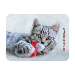 Meowy Kerstcute Gray Tabby Cat Magneet