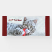 Meowy Kerstcute Gray Tabby Cat Spandoek (Horizontaal)