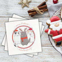 Meowy kerstfeestkasten