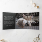 Meowy kerstfoto collage Cat Shelter Drieluik Wenskaart (Binnen)