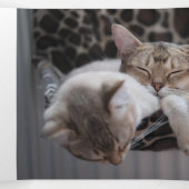 Meowy kerstfoto collage Cat Shelter Drieluik Wenskaart (Binnenkant midden)