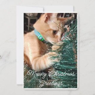 Meowy kerstgroeten, foto en tekst, op maat feestdagenkaart