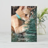Meowy kerstgroeten, kat, foto en tekst, feestdagenkaart (Staand voorkant)