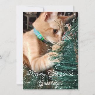 Meowy kerstgroeten, kat, foto en tekst, feestdagenkaart