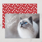 Meowy Kersthand met briefingkat, volledige foto Feestdagenkaart (Voorkant / Achterkant)