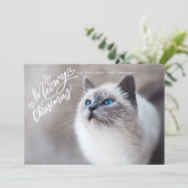 Meowy Kersthand met briefingkat, volledige foto Feestdagenkaart (Staand voorkant)