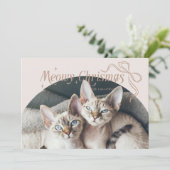 Meowy Kerstkat Foto Beige Vakantie Kaart (Staand voorkant)