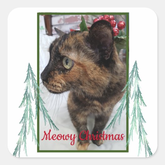 Meowy kerstkat Foto Evergreen Fractal Bough Vierkante Sticker (Voorkant)