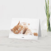 Meowy kerstkat foto feestdagen kaart (Achterkant)