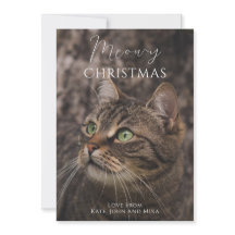 Meowy kerstkat foto