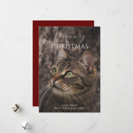 Meowy kerstkat foto feestdagenkaart