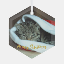 Meowy kerstkat glas ornament