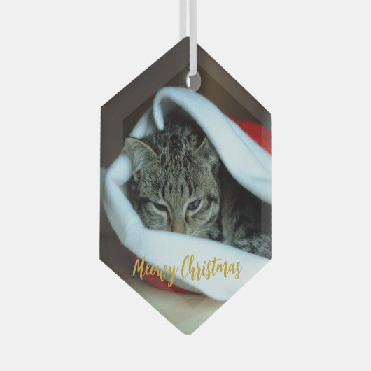 Meowy kerstkat glas ornament (Voorkant Rechts)
