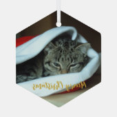 Meowy kerstkat glas ornament (Achterkant)
