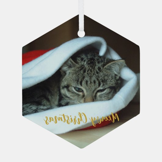 Meowy kerstkat glas ornament (Achterkant)