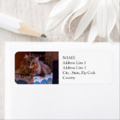 Meowy kerstKat in een cadeaudoos Etiket (Insitu)