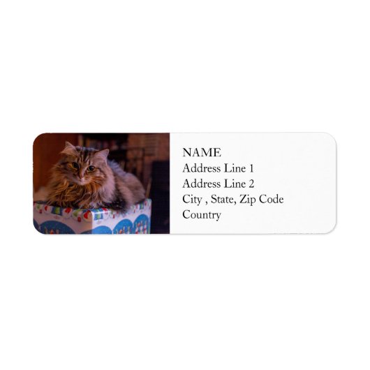 Meowy kerstKat in een cadeaudoos Etiket (Voorkant)