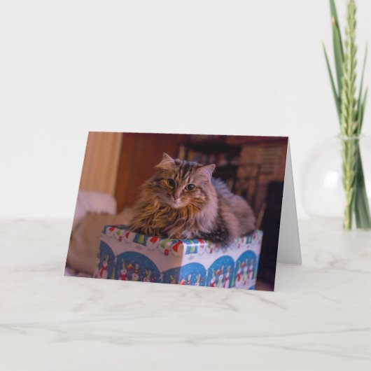 Meowy kerstKat in een cadeaudoos Feestdagen Kaart (Voorkant)
