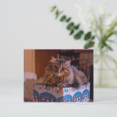 Meowy kerstKat in een cadeaudoos Feestdagenkaart (Staand voorkant)