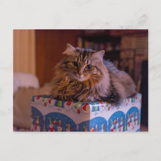 Meowy kerstKat in een cadeaudoos Feestdagenkaart (Voorkant)