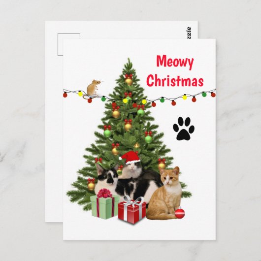 Meowy kerstkat / katteklep, ontworpen om te worden briefkaart (Voorkant / Achterkant)