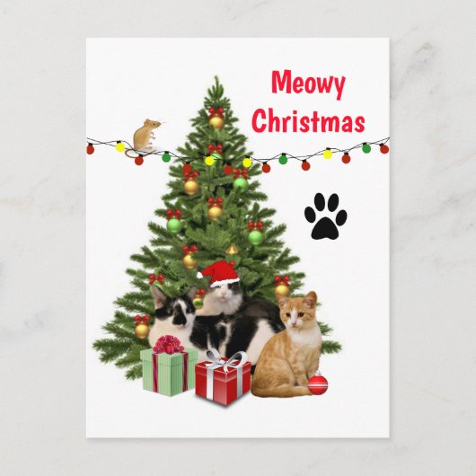 Meowy kerstkat / katteklep, ontworpen om te worden briefkaart (Voorkant)