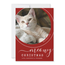 Meowy Kerstkat Kitten Foto Rood en Wit