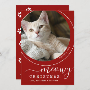 Meowy Kerstkat Kitten Foto Rood en Wit