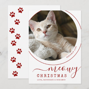 Meowy Kerstkat Kitten Foto White