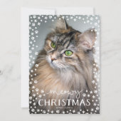 Meowy kerstkat Lover Holiday-fotokaart Feestdagenkaart (Voorkant)