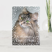 Meowy kerstkat Lover Holiday Greeting Kaart