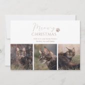 Meowy kerstkat met kerstmis feestdagenkaart (Voorkant)