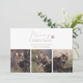 Meowy kerstkat met kerstmis feestdagenkaart