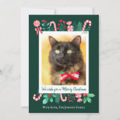Meowy kerstkat met kerstmis feestdagenkaart (Voorkant)