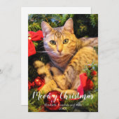 Meowy kerstkat met kerstmis feestdagenkaart (Voorkant / Achterkant)
